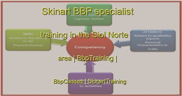 Skinart BBP specialist training in the Siol Norte area | BbpTraining | BbpClasses | SkinartTraining-Philippines